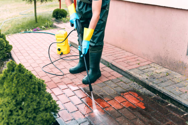 Best Residential Exterior Washing  in Hazel Park, MI