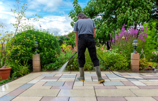 Best Restaurant Pressure Washing  in Hazel Park, MI
