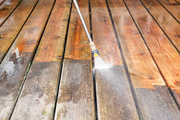 Best Gutter Cleaning  in Hazel Park, MI